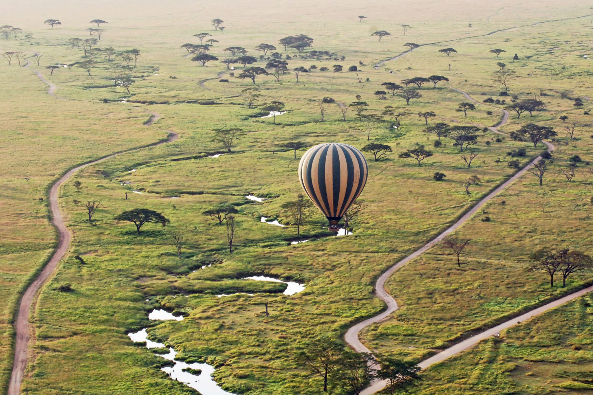 5 Days Serengeti Balloon Safari